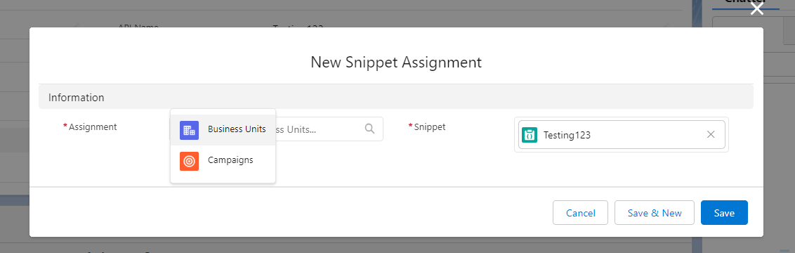 Snippet-assignment