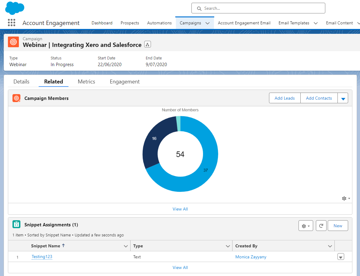 Snippet: Assignment on Campaign