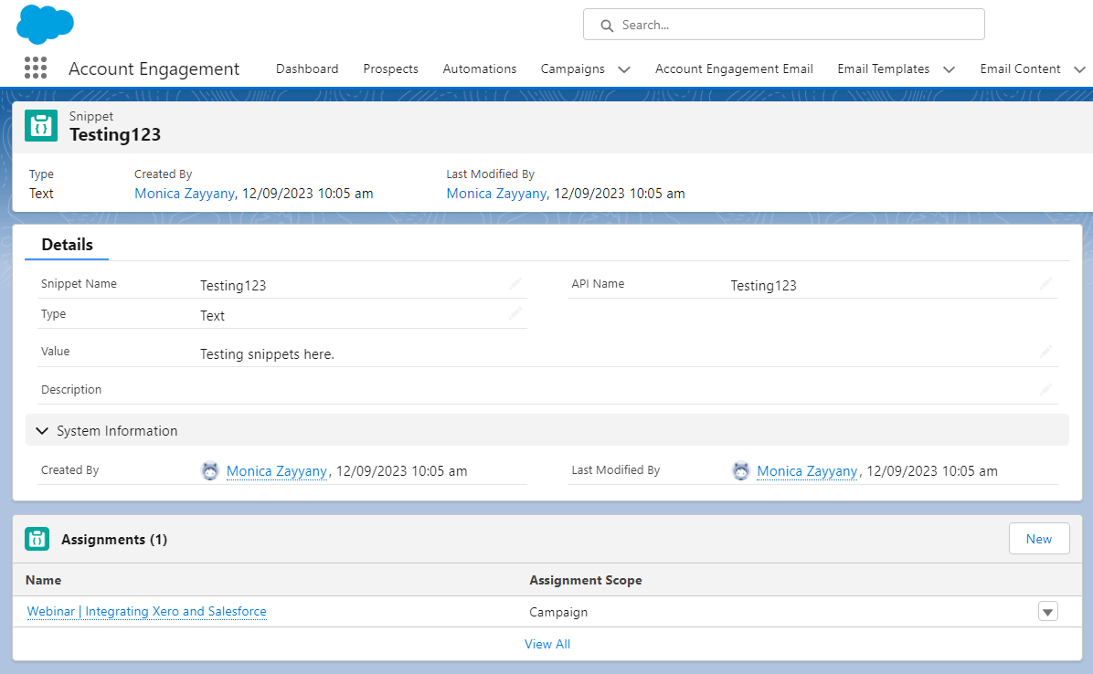Snippet: Assignment on Snippet Record